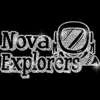 GLT17 SILVER GLITTER Thumbnail